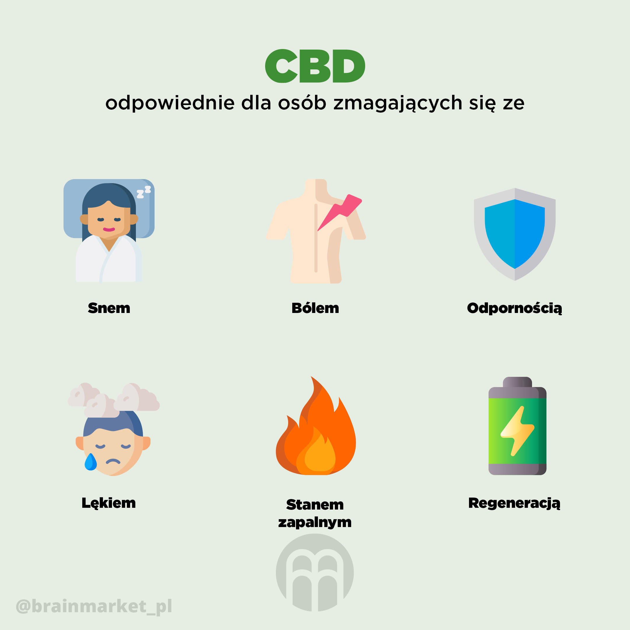 infografika brainmarket PL